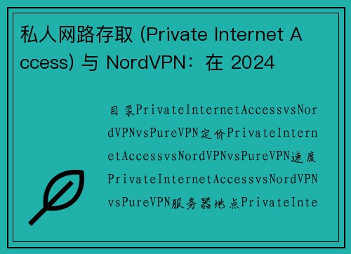 私人网路存取 (Private Internet Access) 与 NordVPN：在 2024 